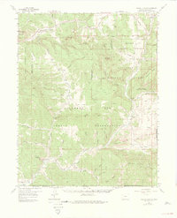Pagosa Junction 1957 topographic map thumbnail