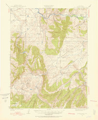 Mount Harris 1924 topographic map thumbnail