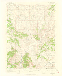 Lone Mountain 1960 topographic map thumbnail