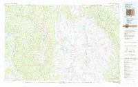 Walden 1981 topographic map thumbnail