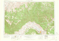 Grand Junction 1965 topographic map preview