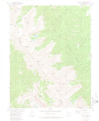 Electric Peak 1980 topographic map thumbnail