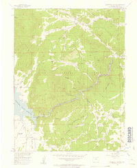 Elevenmile Canyon 1956 topographic map thumbnail