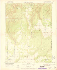 Egnar 1950 topographic map thumbnail