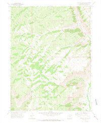 Circle Dot Gulch 1971 topographic map thumbnail