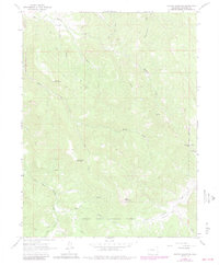 Center Mountain 1963 topographic map thumbnail