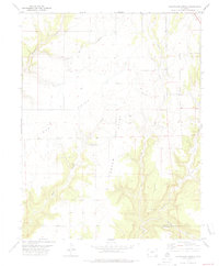 Champagne Spring 1978 topographic map thumbnail