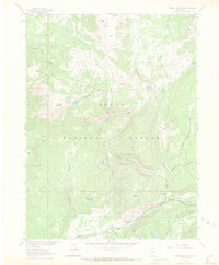 Farwell Mountain 1962 topographic map thumbnail