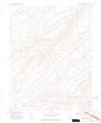 Escalante Forks 1973 topographic map thumbnail