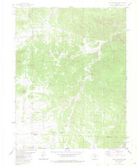 Iron Mountain 1980 topographic map thumbnail