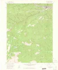 Idaho Springs 1957 topographic map thumbnail