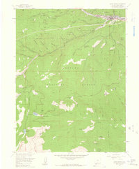 Idaho Springs 1957 topographic map thumbnail