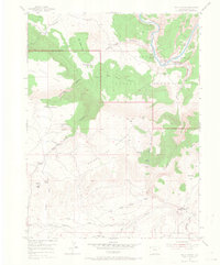 Hells Canyon 1954 topographic map thumbnail