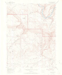 Hells Canyon 1954 topographic map thumbnail