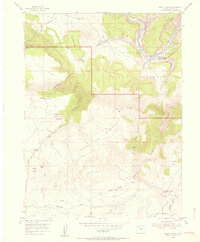 Hells Canyon 1954 topographic map thumbnail