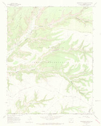 Greasewood Canyon 1966 topographic map thumbnail