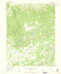 Skyway 1955 topographic map thumbnail