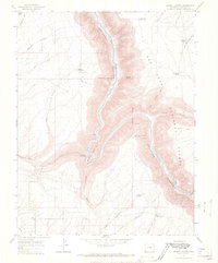 Secret Canyon 1964 topographic map thumbnail