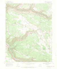 Sanborn Park 1967 topographic map thumbnail