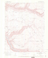 Sanborn Park 1967 topographic map thumbnail