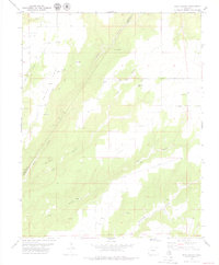 Ruin Canyon 1979 topographic map thumbnail