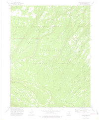 Moore Mesa 1973 topographic map thumbnail