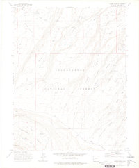 Moore Mesa 1973 topographic map thumbnail