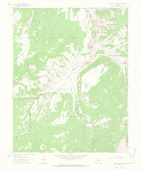 Mineral Mountain 1963 topographic map thumbnail