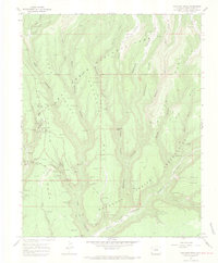 Moccasin Mesa 1967 topographic map thumbnail