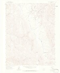 McCarty Park 1963 topographic map thumbnail