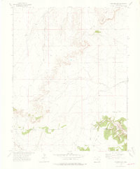 Packers Gap 1972 topographic map preview