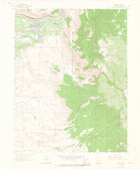 Palisade 1962 topographic map thumbnail