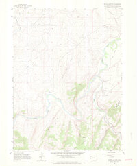 Round Bottom 1966 topographic map preview