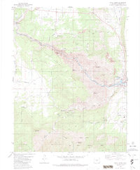 Royal Gorge 1980 topographic map thumbnail
