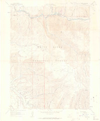 Ruedi 1961 topographic map thumbnail