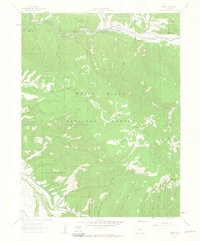 Ruedi 1961 topographic map thumbnail