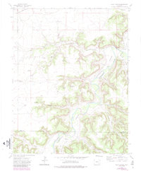 Riley Canyon 1972 topographic map thumbnail