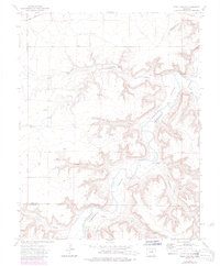 Riley Canyon 1972 topographic map thumbnail
