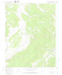 Rock Creek Park 1965 topographic map thumbnail