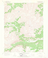 Redcloud Peak 1964 topographic map preview