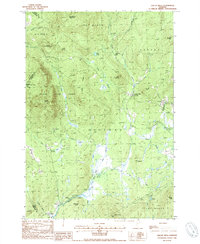 Gallup Mills 1988 topographic map thumbnail