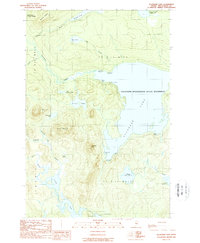 Allagash Lake 1989 topographic map thumbnail