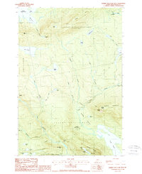 Barren Mountain West 1988 topographic map preview
