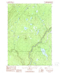Black Brook Pond 1988 topographic map thumbnail