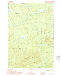 Boundary Bald Mountain 1989 topographic map thumbnail