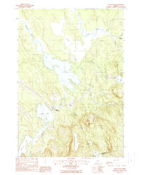 Chemo Pond 1988 topographic map thumbnail