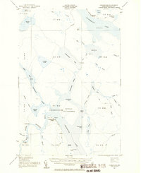 Chesuncook 1954 topographic map thumbnail