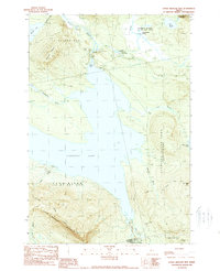 Little Bigelow Mtn topographic map thumbnail