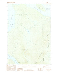 Metallak Mtn 1984 topographic map thumbnail