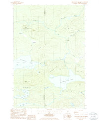 Millinocket Lake East 1985 topographic map thumbnail
